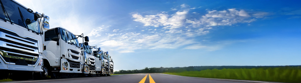 5000+ Japanese Used Trucks from Japan