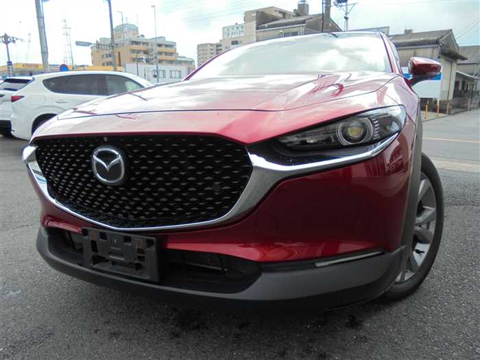 2019 Mazda Mazda Others DMEP