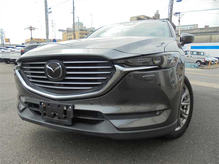 2018 Mazda CX-8 KG2P