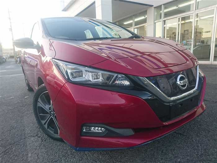 2019 Nissan Leaf ZE1 (UW-695e110018c16)[1]
