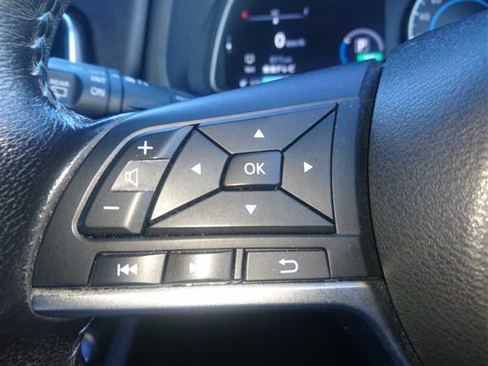 2019 Nissan Leaf ZE1 (UW-695e110018c16)[22]