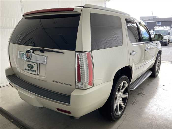 2008 Cadillac Escalade KN KNOWN (UW-695e10fbdb32b)[1]