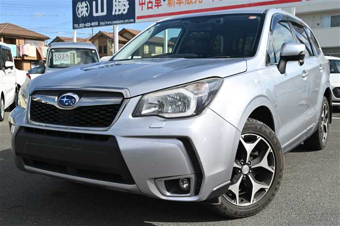 2013 Subaru Forester DBA-SJG