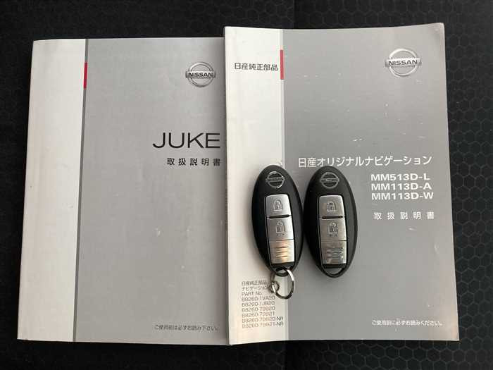 2013 Nissan JUKE DBA-YF15 (UW-69ad003d5dd1f)[22]