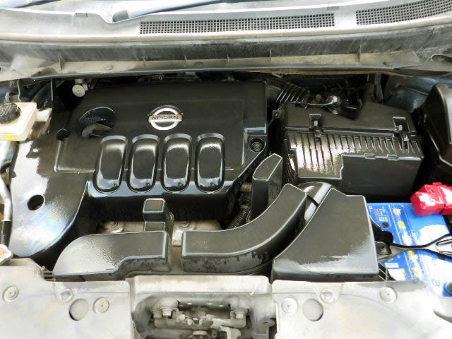 2010 Nissan Murano TZ51 (UW-69ce354671793)[7]