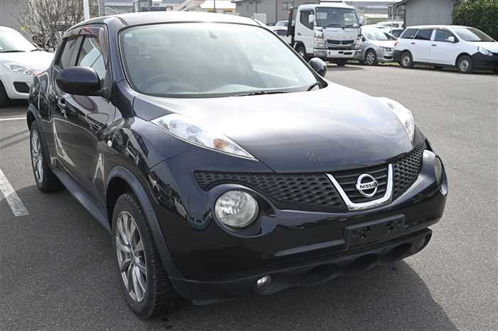 2011 Nissan JUKE CBA-NF15 (UW-69d9fa074a507)[2]