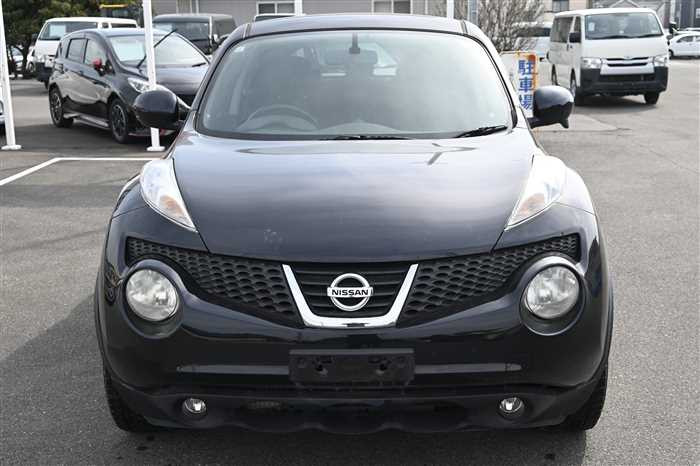 2011 Nissan JUKE CBA-NF15 (UW-69d9fa074a507)[4]