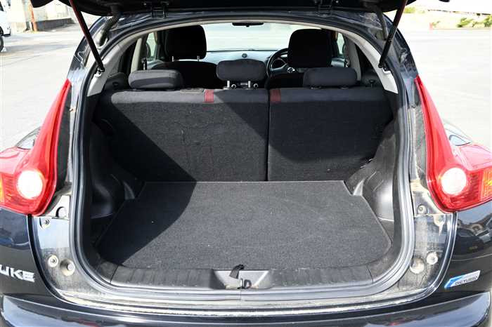 2011 Nissan JUKE CBA-NF15 (UW-69d9fa074a507)[12]