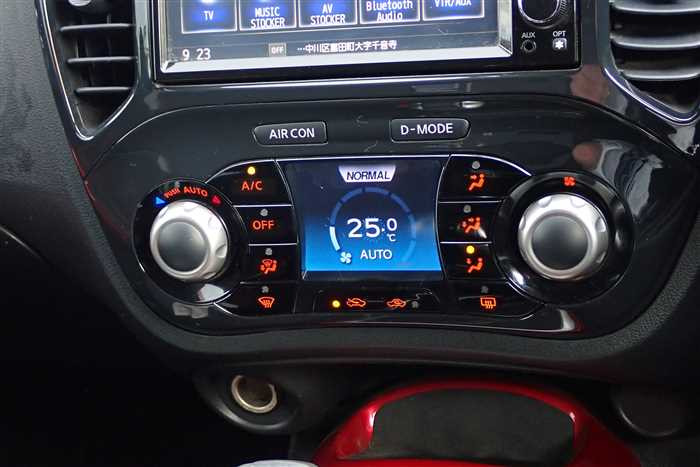 2011 Nissan JUKE CBA-NF15 (UW-69d9fa074a507)[23]