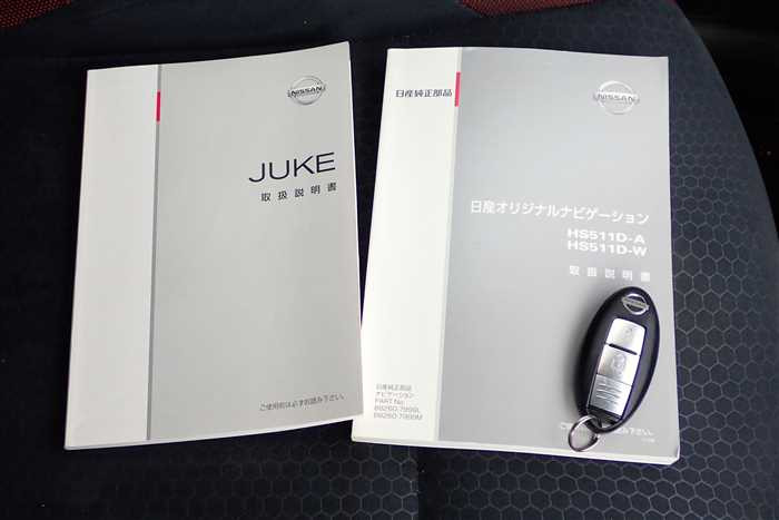 2011 Nissan JUKE CBA-NF15 (UW-69d9fa074a507)[24]