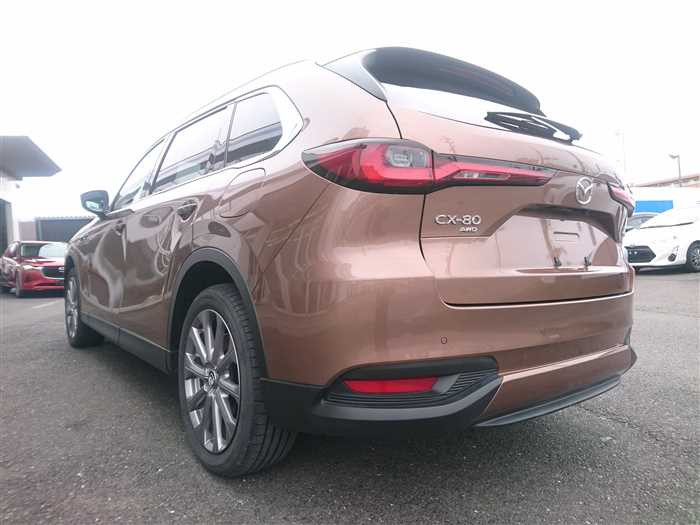 2024 Mazda Mazda Others KL3P (UW-69d9f9eb829cb)[1]