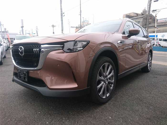 2024 Mazda Mazda Others KL3P (UW-69d9f9eb829cb)[3]