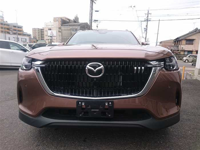 2024 Mazda Mazda Others KL3P (UW-69d9f9eb829cb)[5]