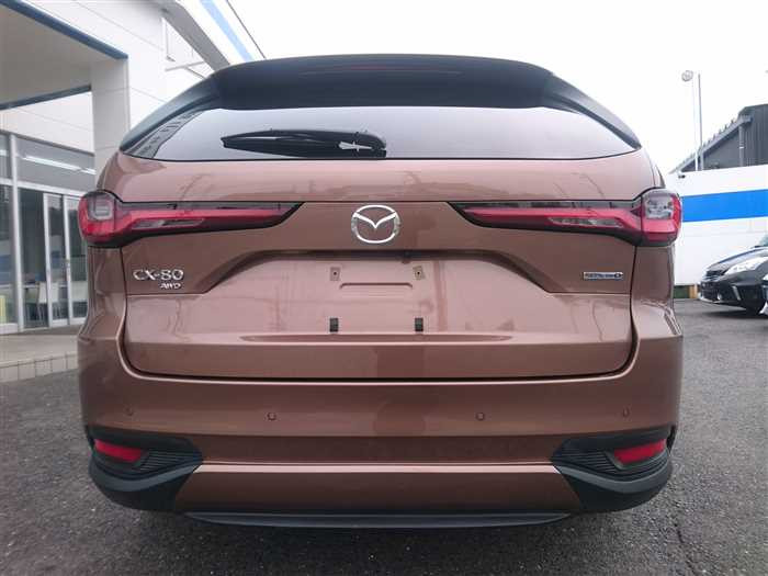 2024 Mazda Mazda Others KL3P (UW-69d9f9eb829cb)[6]