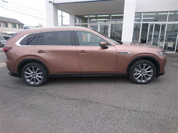 2024 Mazda Mazda Others KL3P (UW-69d9f9eb829cb)[8]