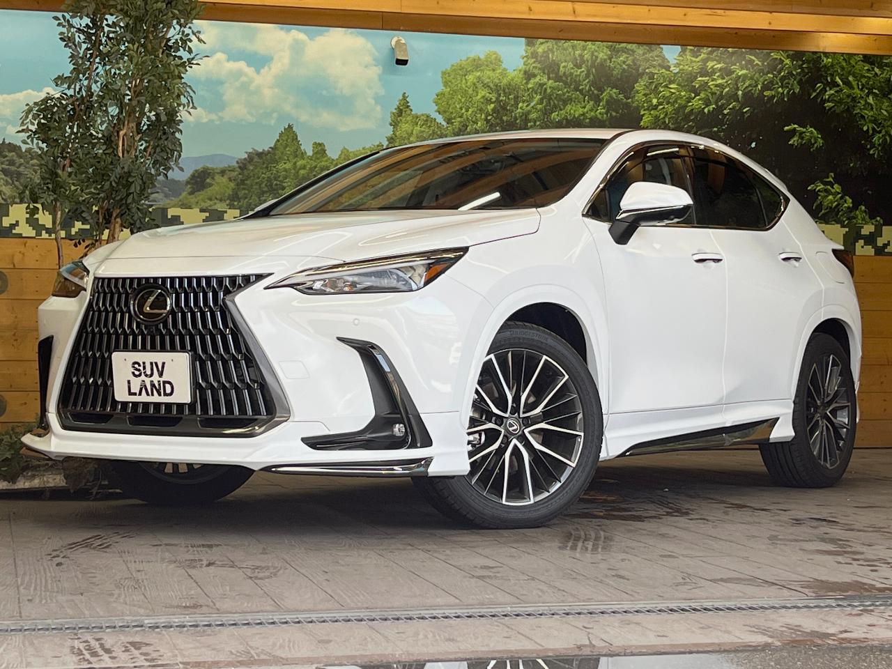 2025 Lexus NX 6AA-AAZH20
