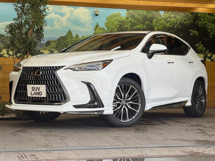 2025 Lexus NX 6AA-AAZH20 (UW-69ef57bf5960d)[0]