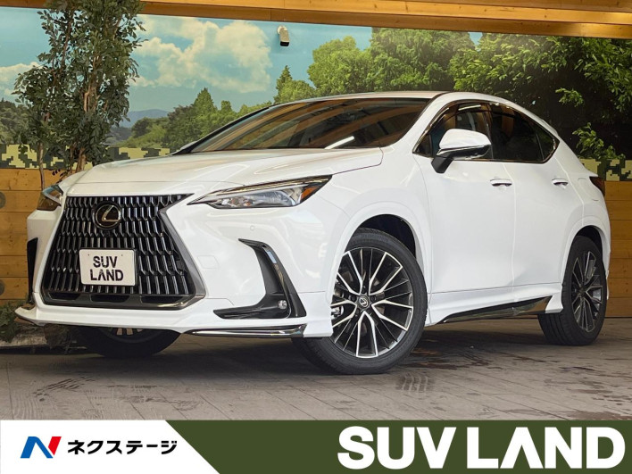 2025 Lexus NX 6AA-AAZH20 (UW-69ef57bf5960d)[3]