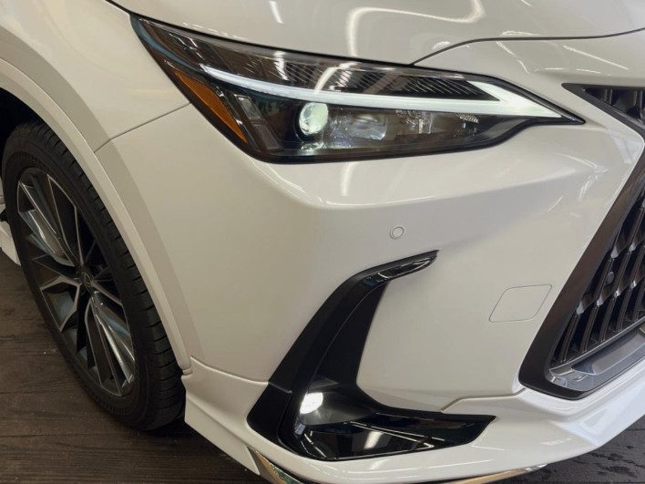 2025 Lexus NX 6AA-AAZH20 (UW-69ef57bf5960d)[29]