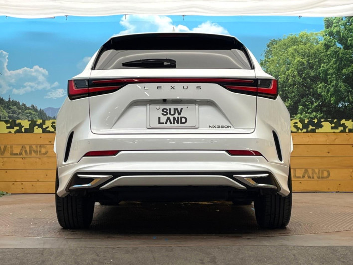 2025 Lexus NX 6AA-AAZH20 (UW-69ef57bf8d9da)[21]