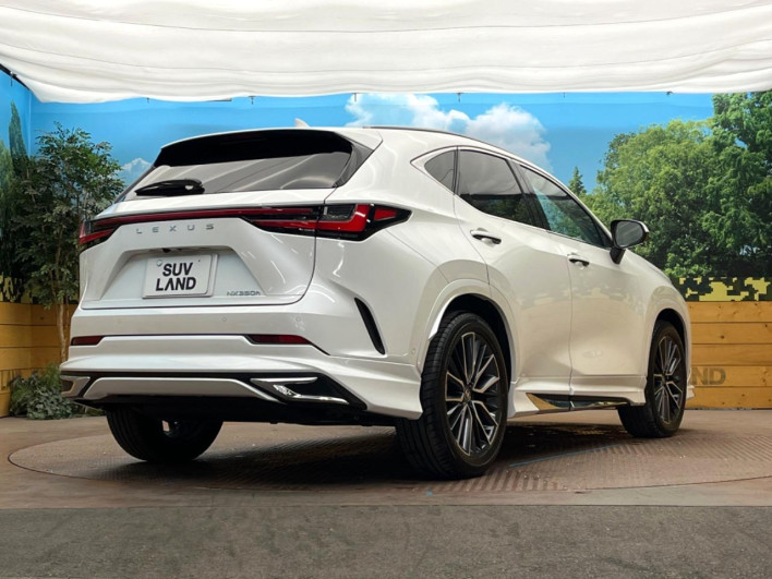 2025 Lexus NX 6AA-AAZH20 (UW-69ef57bf8d9da)[20]