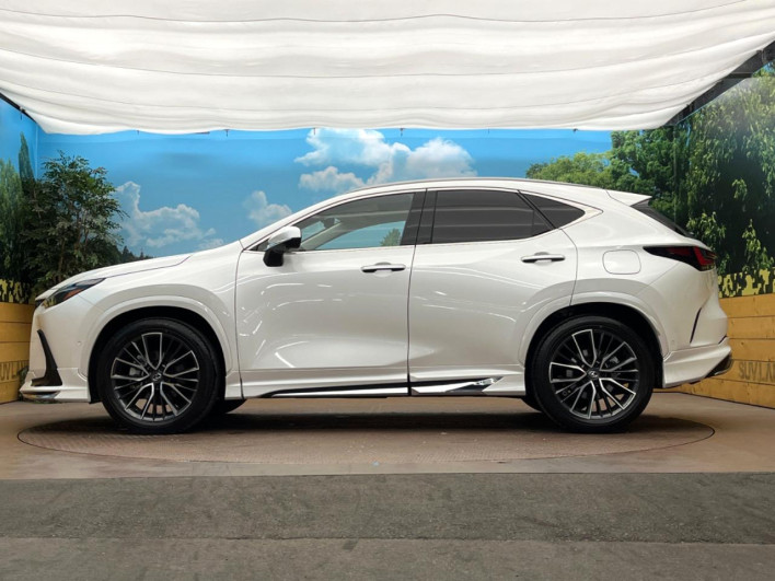 2025 Lexus NX 6AA-AAZH20 (UW-69ef57bf8d9da)[23]