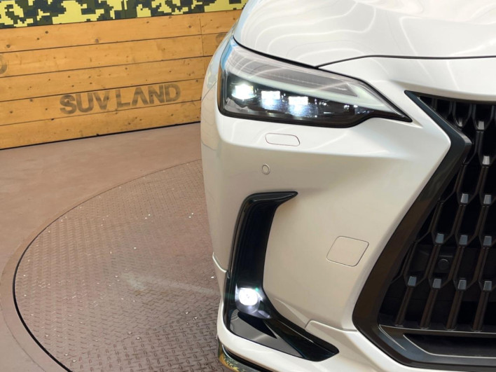 2025 Lexus NX 6AA-AAZH20 (UW-69ef57bf8d9da)[15]