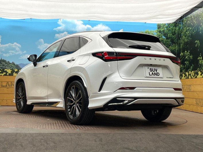 2025 Lexus NX 6AA-AAZH20 (UW-69ef57bf8d9da)[22]
