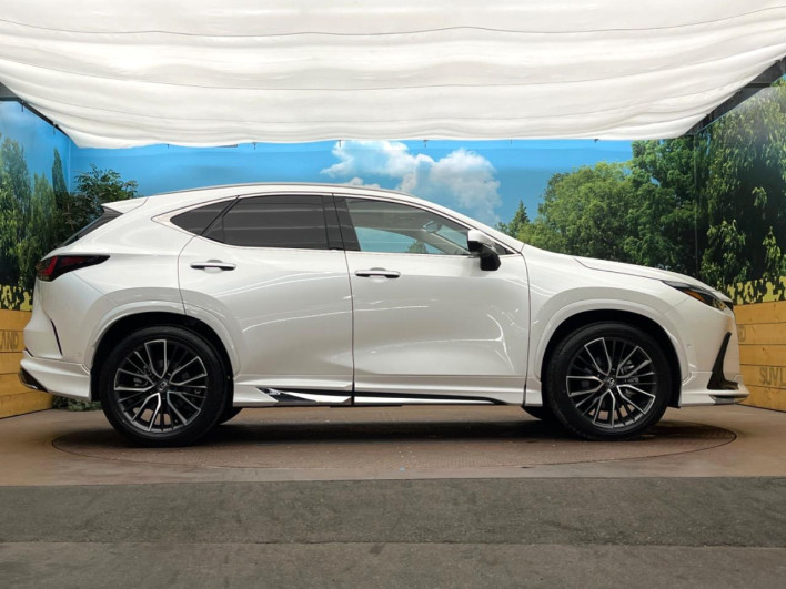 2025 Lexus NX 6AA-AAZH20 (UW-69ef57bf8d9da)[19]