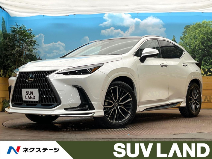 2025 Lexus NX 6AA-AAZH20 (UW-69ef57bf8d9da)[3]