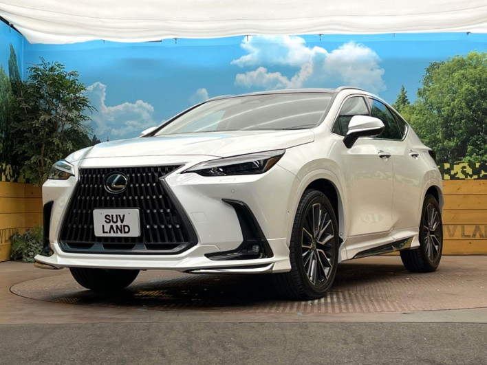 2025 Lexus NX 6AA-AAZH20 (UW-69ef57bf8d9da)[16]