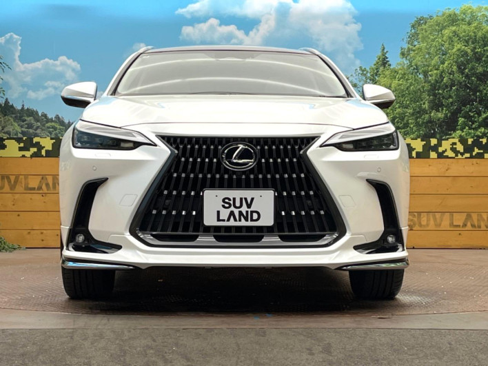 2025 Lexus NX 6AA-AAZH20 (UW-69ef57bf8d9da)[17]