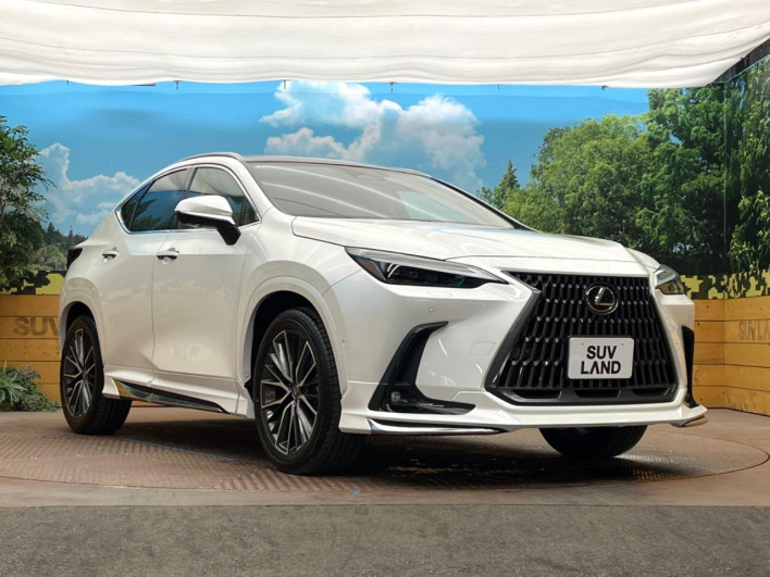 2025 Lexus NX 6AA-AAZH20 (UW-69ef57bf8d9da)[18]