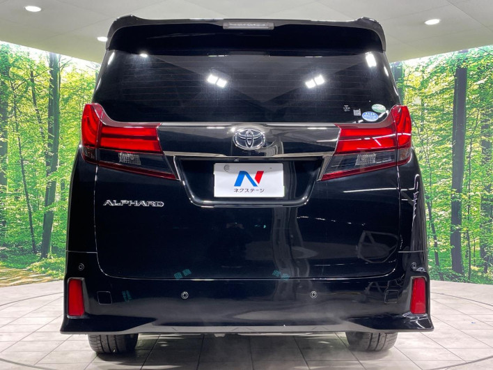 2017 Toyota Alphard DBA-AGH30W (UW-69ef57c1847db)[8]