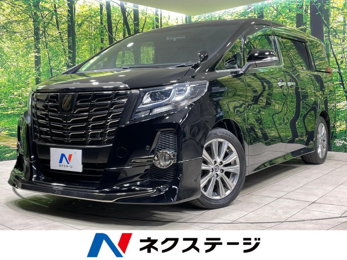 2017 Toyota Alphard DBA-AGH30W (UW-69ef57c1847db)[3]