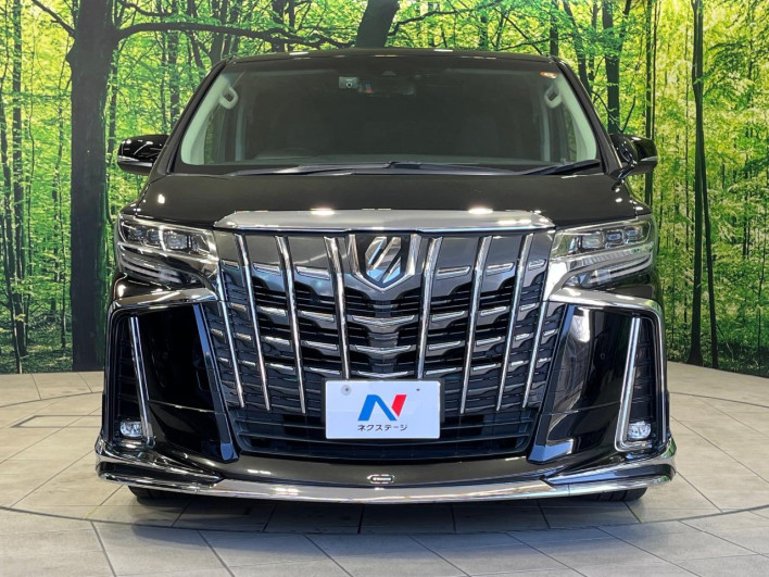 2018 Toyota Alphard DBA-AGH30W (UW-69ef57c1dd82d)[19]