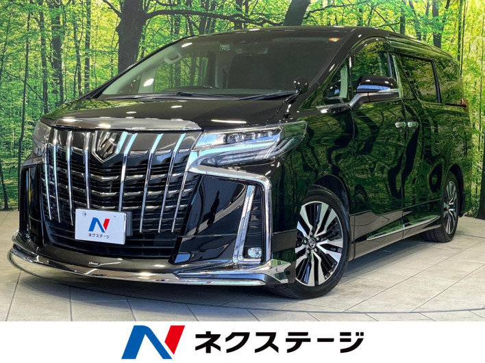 2018 Toyota Alphard DBA-AGH30W (UW-69ef57c1dd82d)[3]