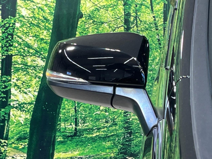 2018 Toyota Alphard DBA-AGH30W (UW-69ef57c1dd82d)[16]