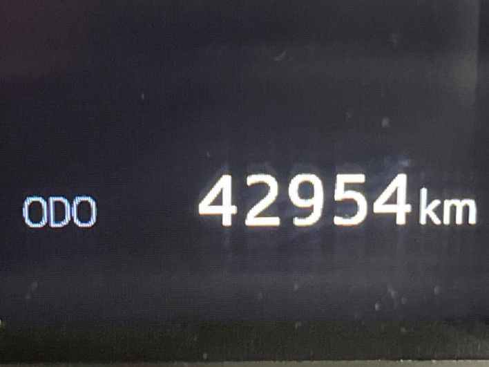 2019 Toyota Alphard DBA-AGH30W (UW-69ef57c3b2f2e)[2]