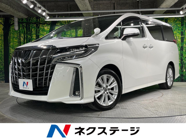 2019 Toyota Alphard DBA-AGH30W (UW-69ef57c3b2f2e)[3]