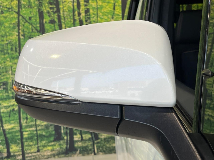 2021 Toyota Alphard 3BA-AGH30W (UW-69ef57c3b3c42)[24]