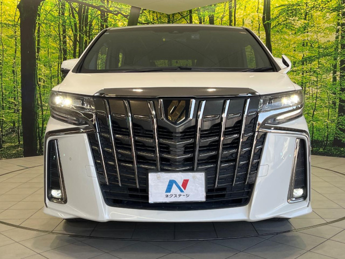 2021 Toyota Alphard 3BA-AGH30W (UW-69ef57c3b3c42)[23]