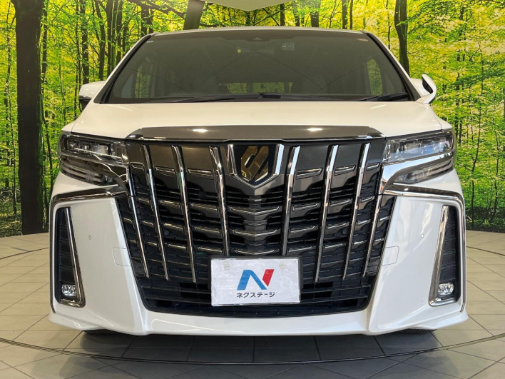 2021 Toyota Alphard 3BA-AGH30W (UW-69ef57c3b3c42)[14]