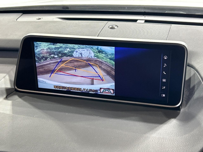 2017 Lexus RX DBA-AGL20W (UW-69ef57ca0c6b2)[16]