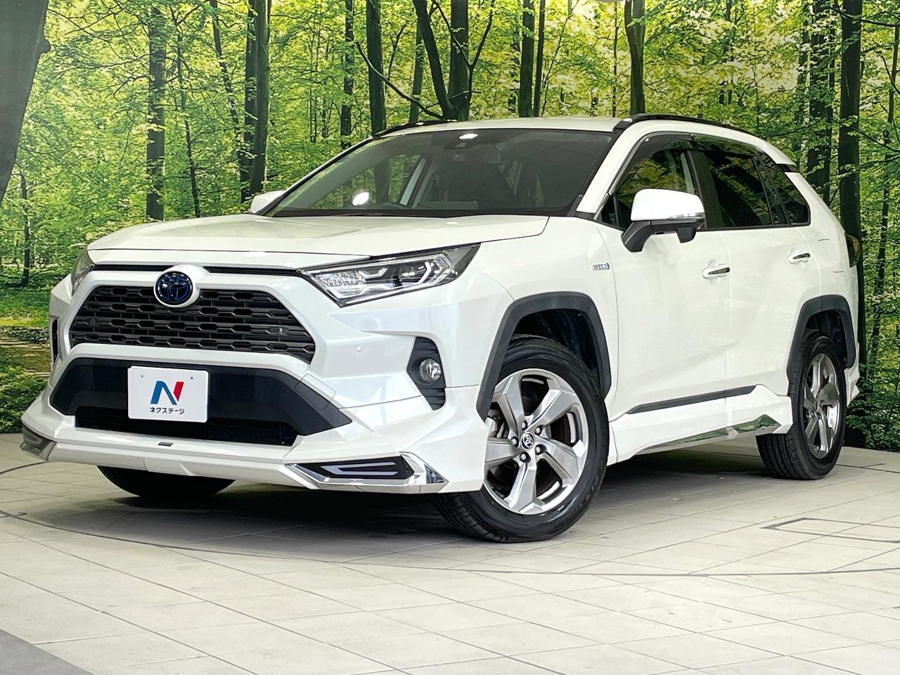 2019 Toyota RAV4 6BA-MXAA54