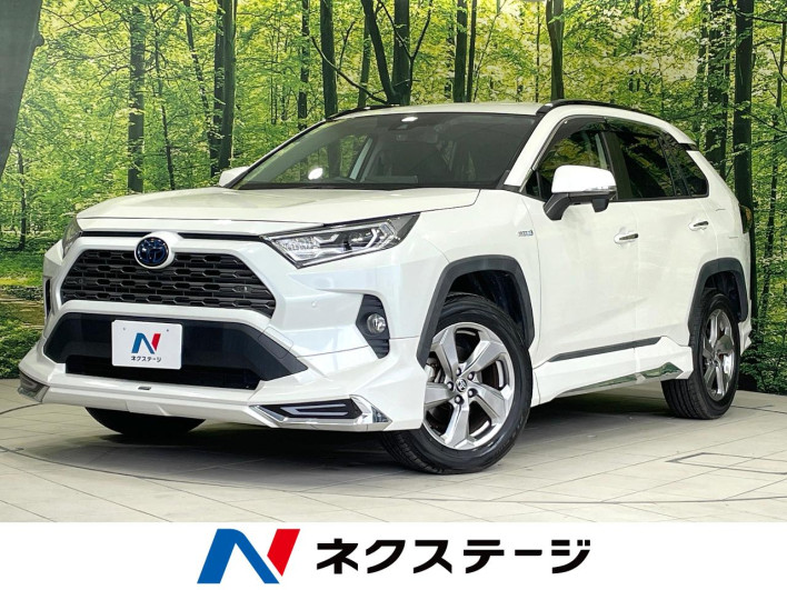 2019 Toyota RAV4 6BA-MXAA54 (UW-69ef57d269d1f)[3]