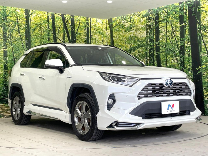2019 Toyota RAV4 6BA-MXAA54 (UW-69ef57d269d1f)[24]