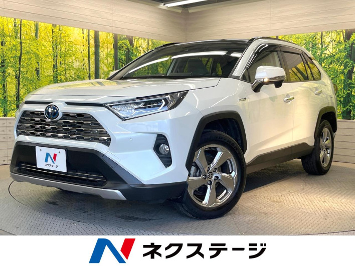 2020 Toyota RAV4 6AA-AXAH54 (UW-69ef57d3ccc38)[3]