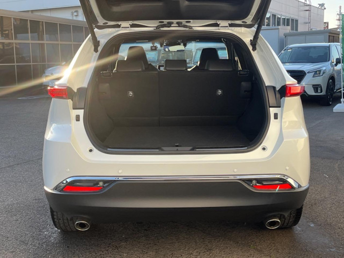 2025 Toyota Harrier Hybrid 6AA-AXUH80 (UW-69ef57d95d410)[23]