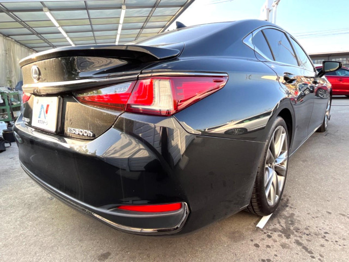2020 Lexus ES 6AA-AXZH11 (UW-69ef57dbd91dc)[26]